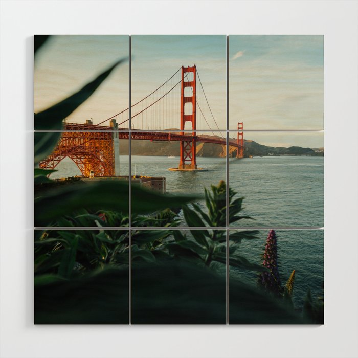 San Francisco Bridge Plant (Color) Wood Wall Art Gallery Image 1