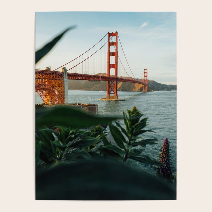San Francisco Bridge Plant (Color) Poster Gallery Image 1