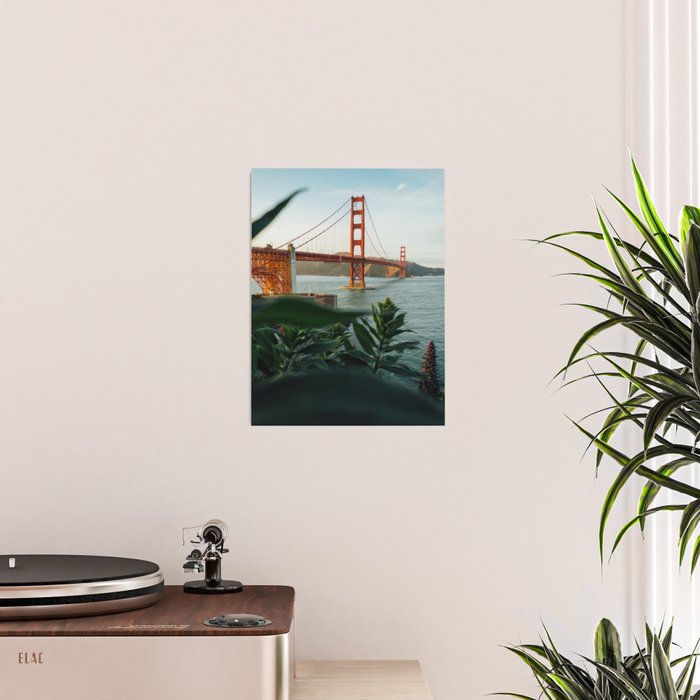 San Francisco Bridge Plant (Color) Poster Gallery Image 2