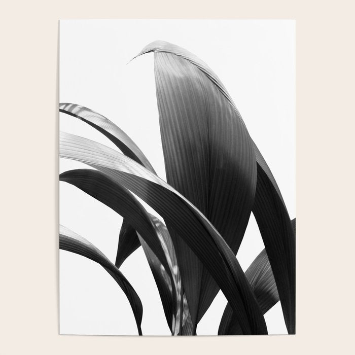 Banana Leaves Jungle Delight #2 #tropical #decor #art #society6 Poster Gallery Image 4