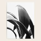 Banana Leaves Jungle Delight #2 #tropical #decor #art #society6 Poster Gallery Image 4