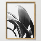 Banana Leaves Jungle Delight #2 #tropical #decor #art #society6 Serving Tray Gallery Image 1
