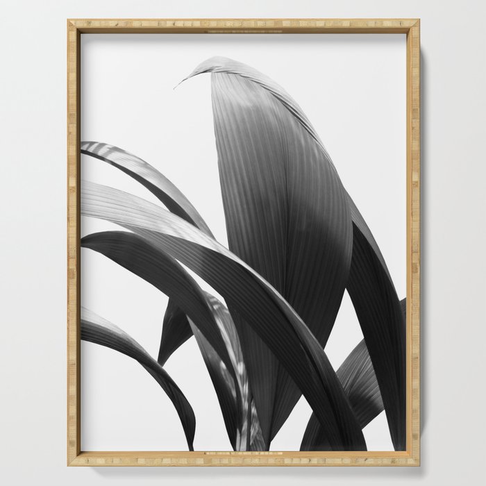 Banana Leaves Jungle Delight #2 #tropical #decor #art #society6 Serving Tray Gallery Image 1