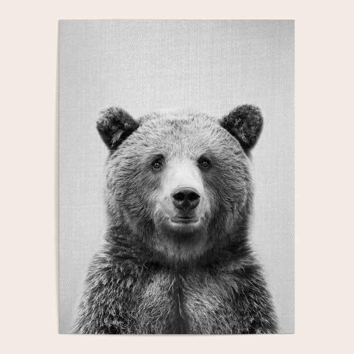 Grizzly Bear - Black & White Poster Gallery Image 1