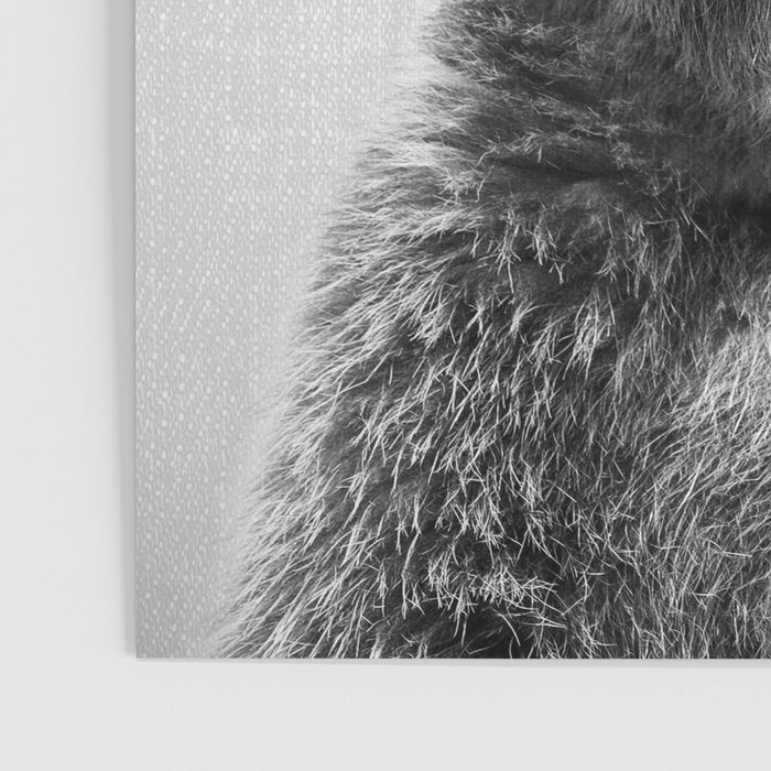 Grizzly Bear - Black & White Poster Gallery Image 3