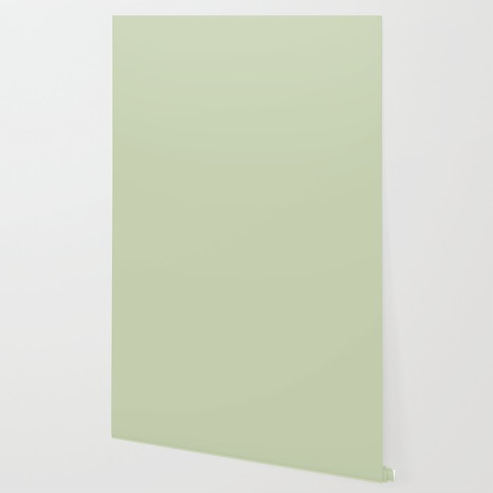 The Pale Sage Green Solid Wallpaper Gallery Image 2