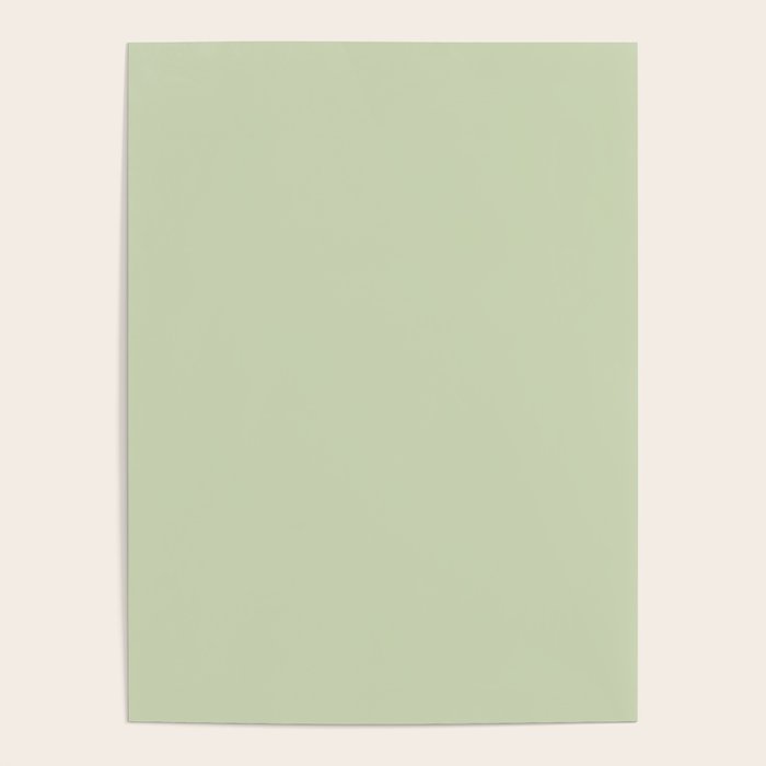 The Pale Sage Green Solid Poster Gallery Image 1