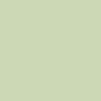The Pale Sage Green Solid Coffee Mug Gallery Image 2