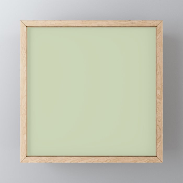 The Pale Sage Green Solid Mini Art Print Gallery Image 1