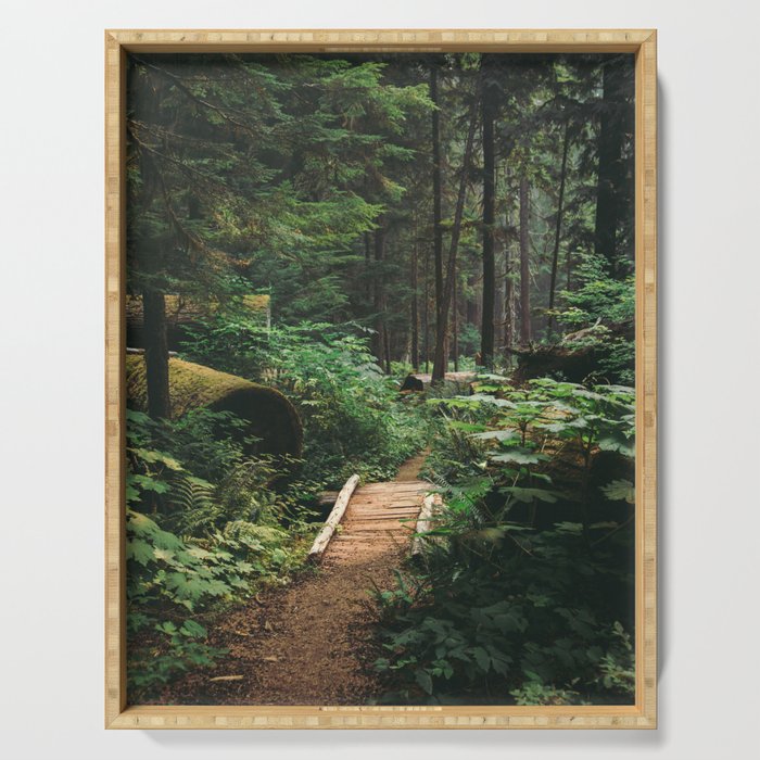 A Walk in the Woods II Serving Tray Gallery Image 1