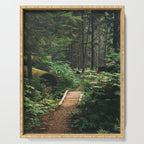 A Walk in the Woods II Serving Tray Gallery Image 1