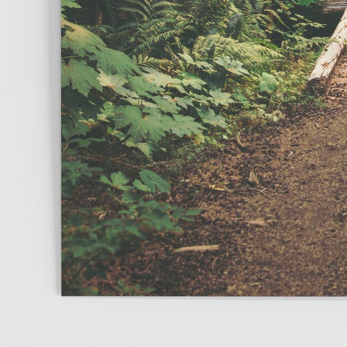 A Walk in the Woods II Poster Gallery Image 3