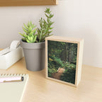 A Walk in the Woods II Mini Art Print Gallery Image 2