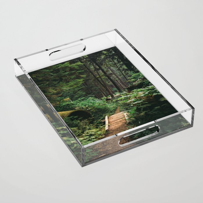 A Walk in the Woods II Acrylic Tray Gallery Image 1