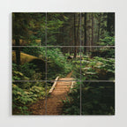 A Walk in the Woods II Wood Wall Art Gallery Image 1