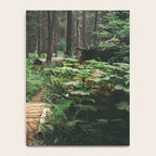 A Walk in the Woods II Notebook Gallery Image 4