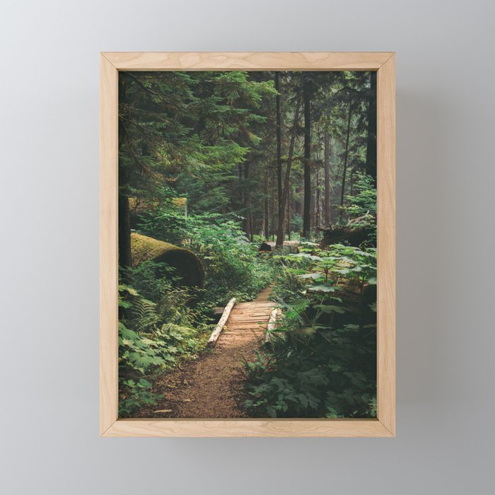 A Walk in the Woods II Mini Art Print Gallery Image 1
