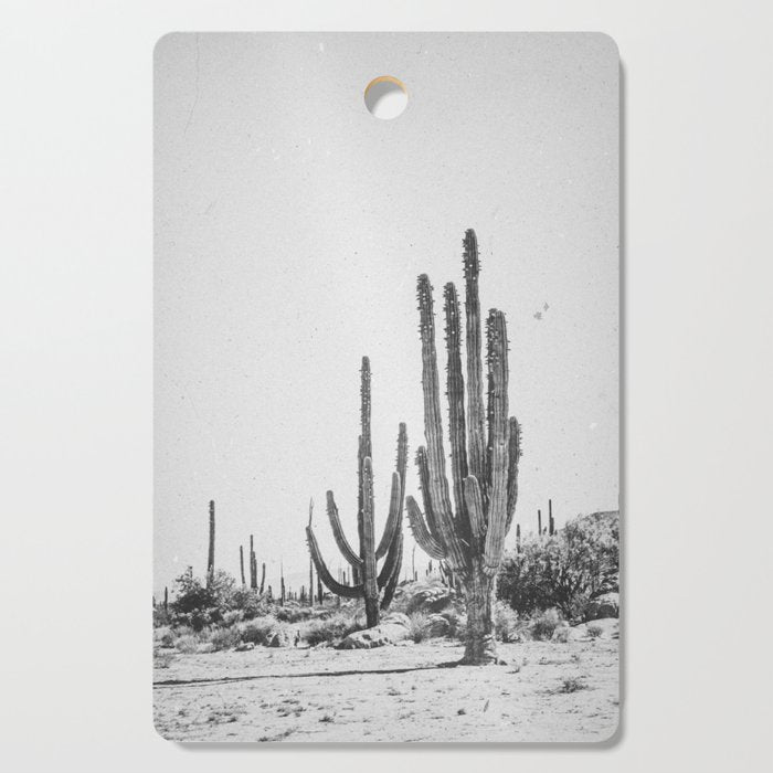 DESERT CACTUS XVII / Baja, Mexico Cutting Board Gallery Image 1