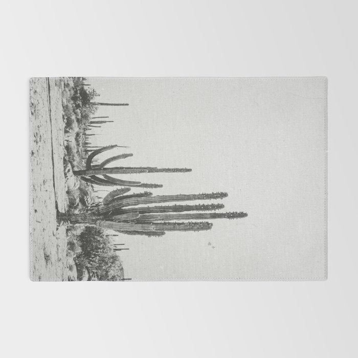 DESERT CACTUS XVII / Baja, Mexico Rug Gallery Image 2