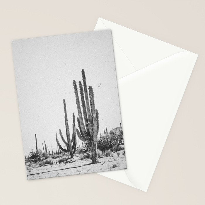 DESERT CACTUS XVII / Baja, Mexico Stationery Card Gallery Image 2