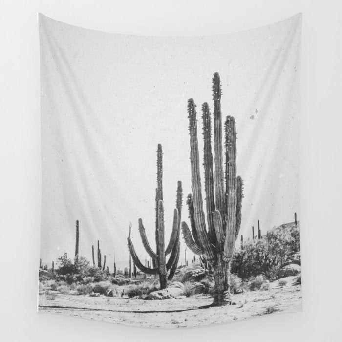 DESERT CACTUS XVII / Baja, Mexico Wall Tapestry Gallery Image 1