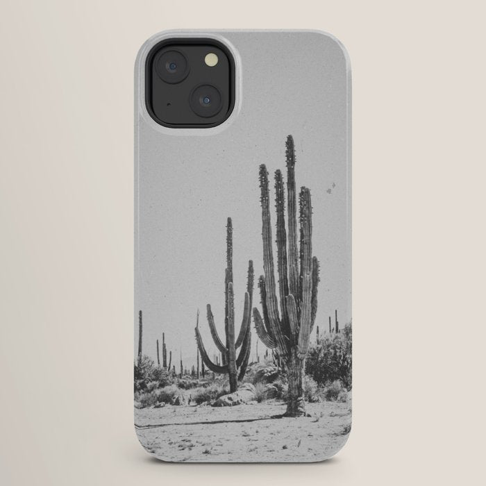 DESERT CACTUS XVII / Baja, Mexico iPhone Case Gallery Image 26