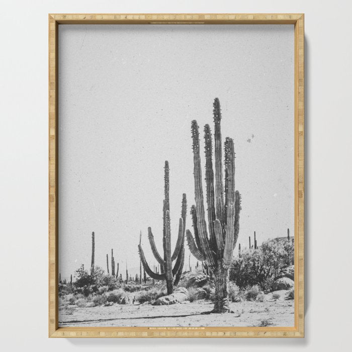 DESERT CACTUS XVII / Baja, Mexico Serving Tray Gallery Image 1