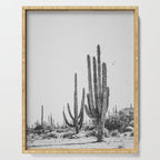 DESERT CACTUS XVII / Baja, Mexico Serving Tray Gallery Image 1