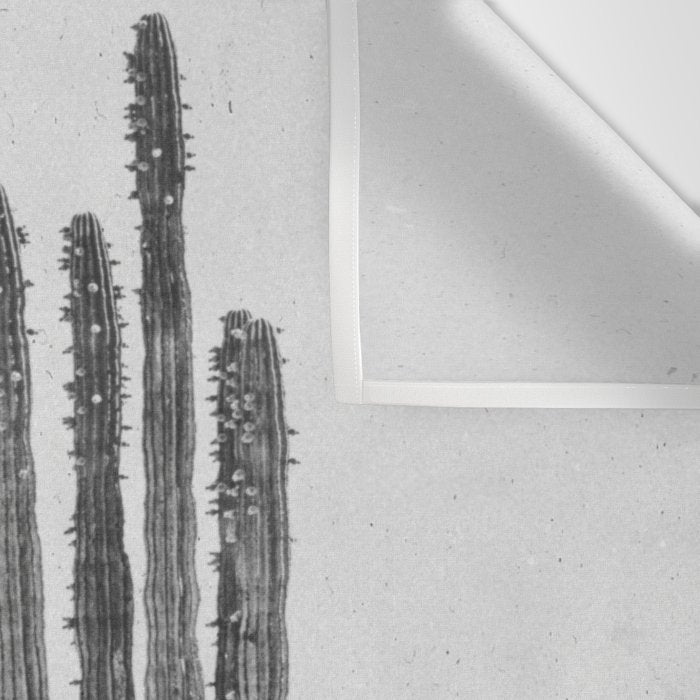 DESERT CACTUS XVII / Baja, Mexico Wall Tapestry Gallery Image 3