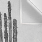 DESERT CACTUS XVII / Baja, Mexico Wall Tapestry Gallery Image 3
