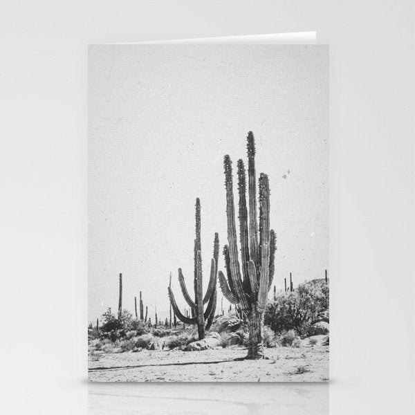 DESERT CACTUS XVII / Baja, Mexico Stationery Card Gallery Image 2