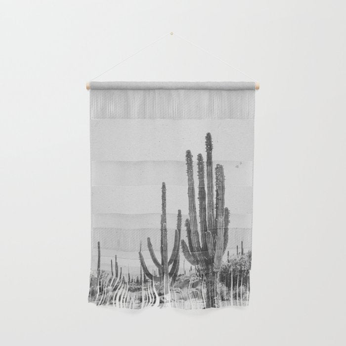 DESERT CACTUS XVII / Baja, Mexico Wall Hanging Gallery Image 1