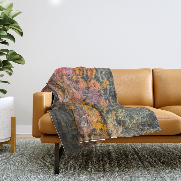 Autumn Reflections, Woodland Lake in Fall Forest Throw Blanket Gallery Image 1