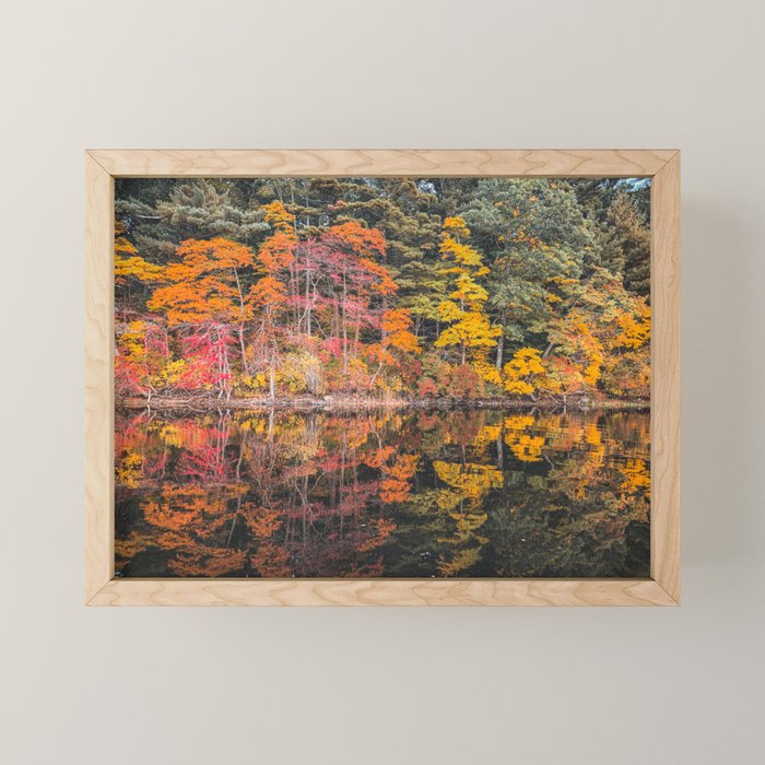 Autumn Reflections, Woodland Lake in Fall Forest Mini Art Print Gallery Image 1