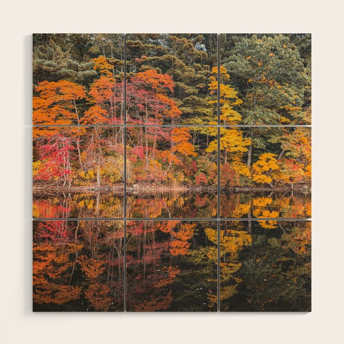 Autumn Reflections, Woodland Lake in Fall Forest Wood Wall Art Gallery Image 1