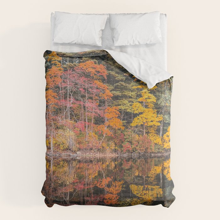 Autumn Reflections, Woodland Lake in Fall Forest Comforter Gallery Image 1