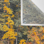 Autumn Reflections, Woodland Lake in Fall Forest Wall Tapestry Gallery Image 3