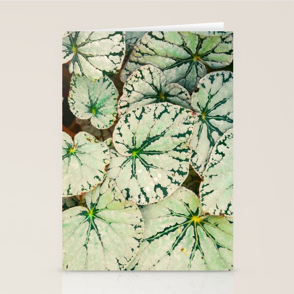 Begonia Leaf Stationery Card Gallery Image 2