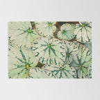 Begonia Leaf Rug Gallery Image 2