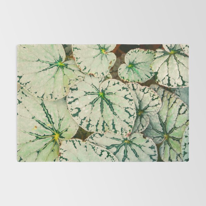 Begonia Leaf Rug Gallery Image 2
