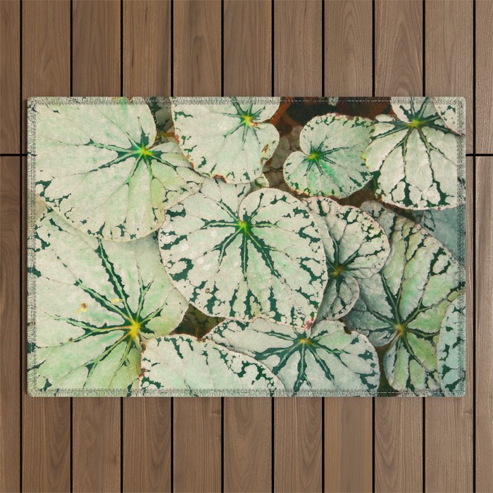 Begonia Leaf Outdoor Rug Gallery Image 1