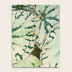Begonia Leaf Notebook Gallery Image 4