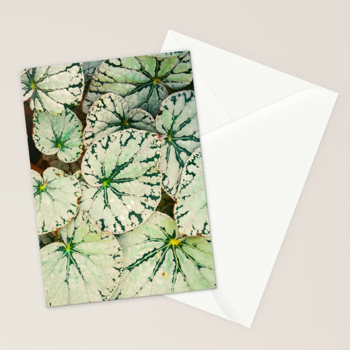 Begonia Leaf Stationery Card Gallery Image 2