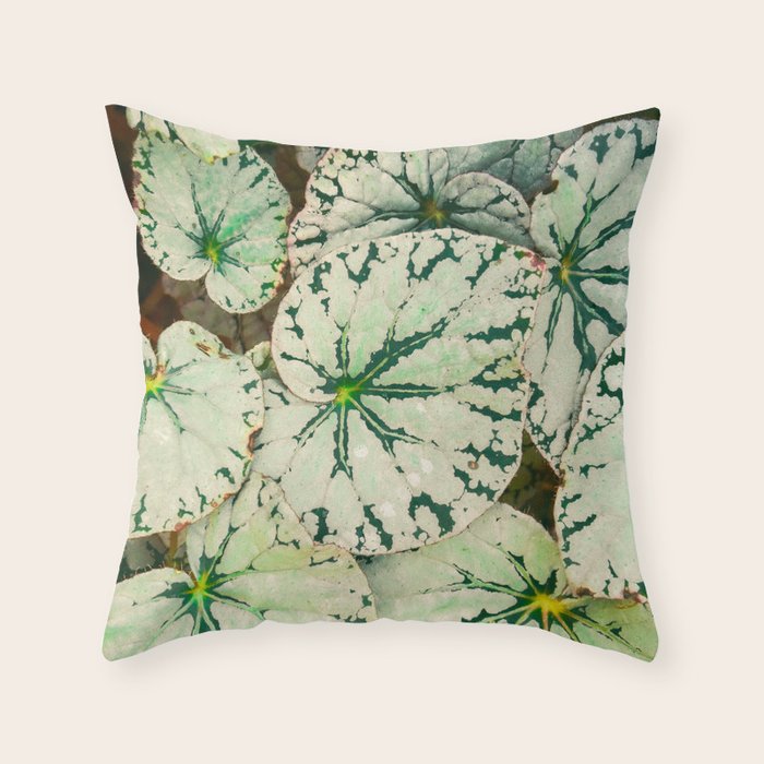 Begonia Leaf Throw Pillow Gallery Image 6