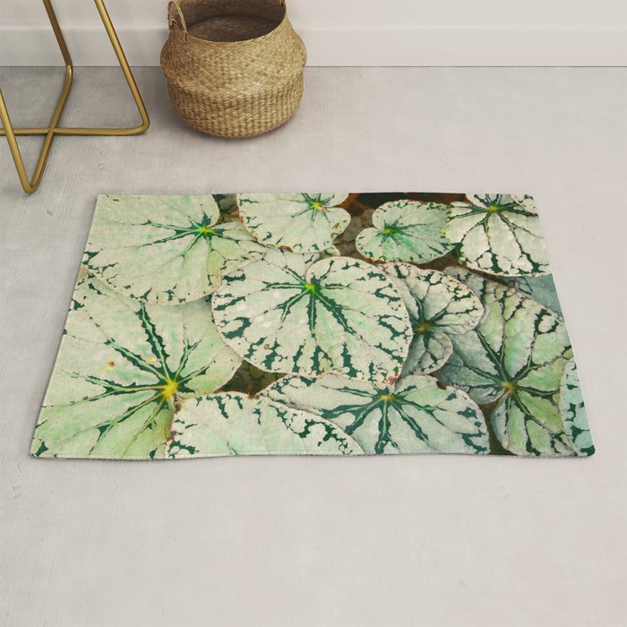 Begonia Leaf Rug Gallery Image 1