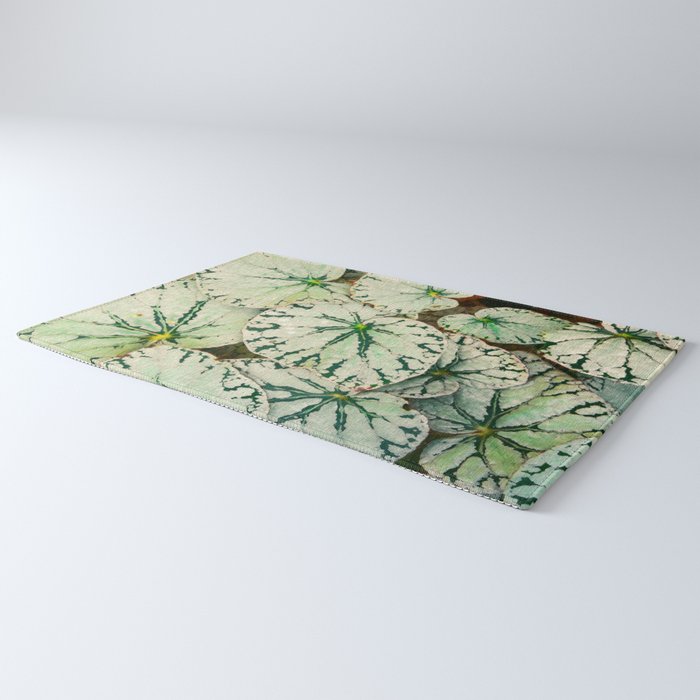 Begonia Leaf Rug Gallery Image 3