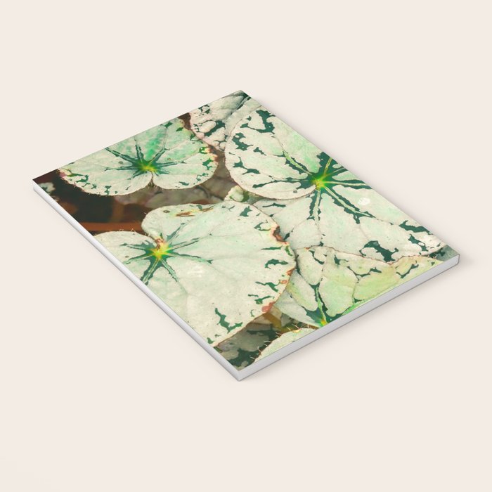 Begonia Leaf Notebook Gallery Image 3