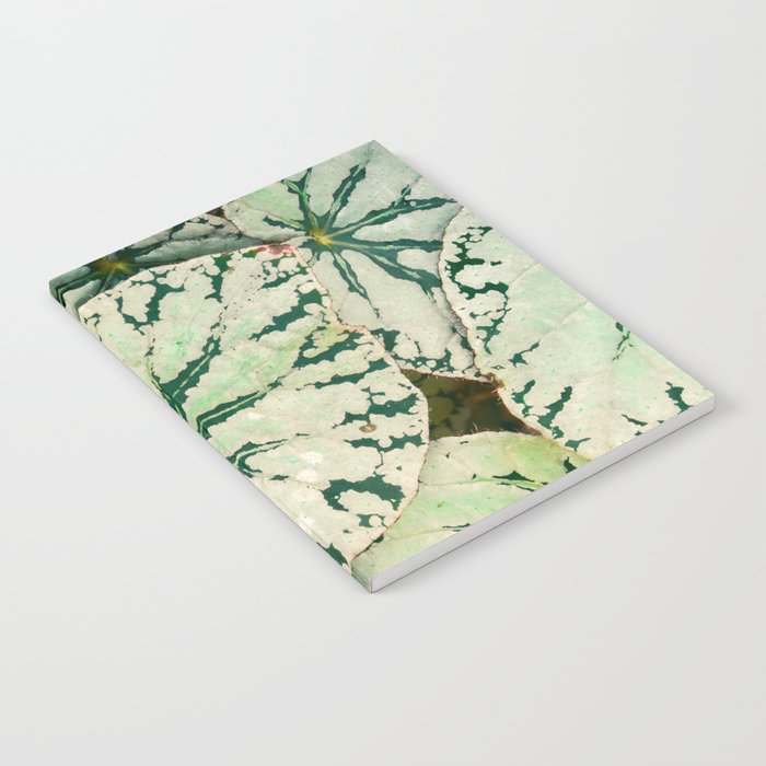 Begonia Leaf Notebook Gallery Image 1