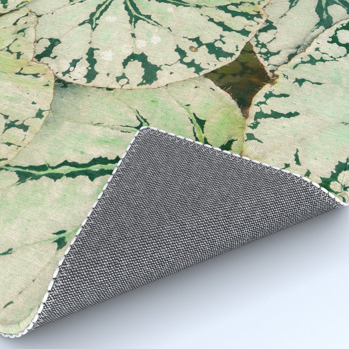 Begonia Leaf Rug Gallery Image 4