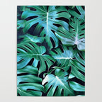 Monstera leaves Poster Gallery Image 4